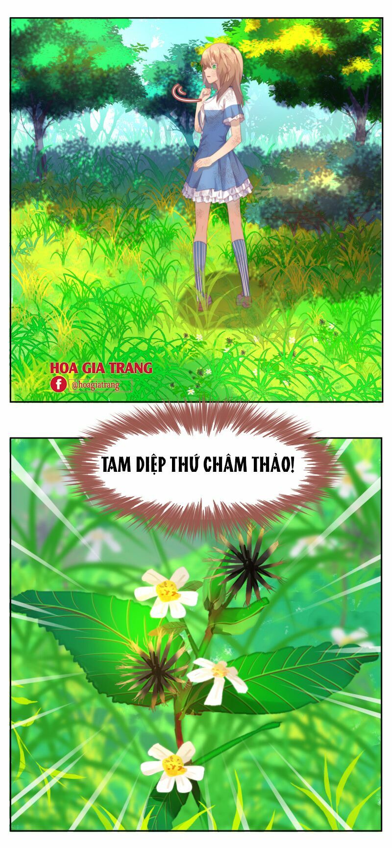 Truyện tranh