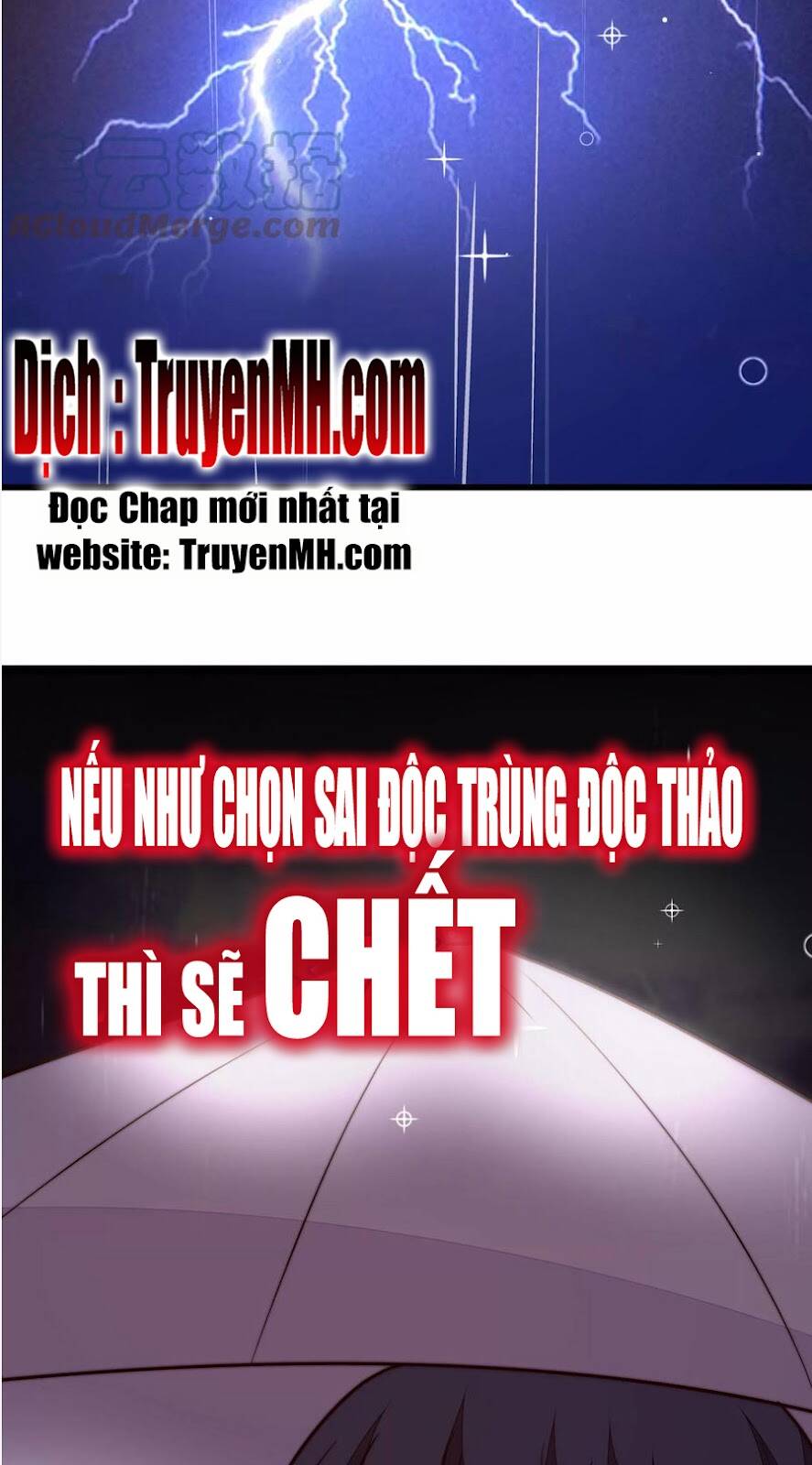 Truyện tranh