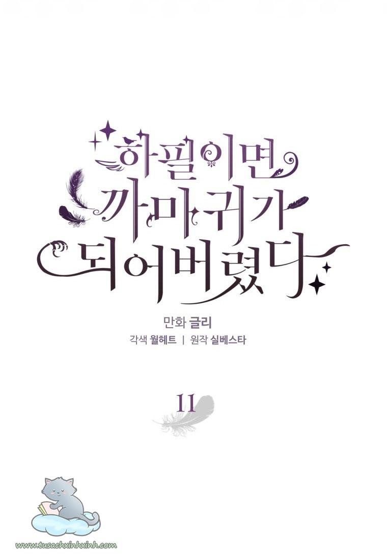 Nàng Quạ Bất Đắc Dĩ: Nàng Quạ Bất Đắc Dĩ – Chap 11
