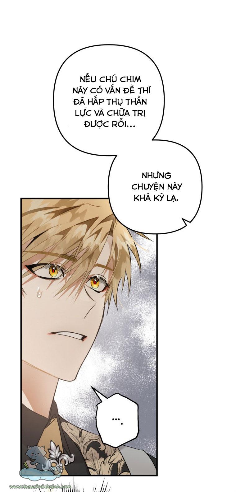 Nàng Quạ Bất Đắc Dĩ: Nàng Quạ Bất Đắc Dĩ – Chap 11