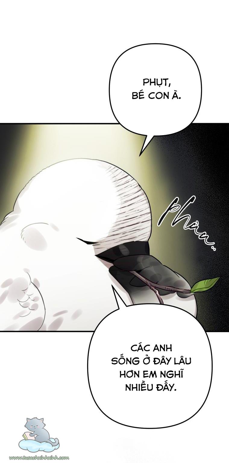 Nàng Quạ Bất Đắc Dĩ: Nàng Quạ Bất Đắc Dĩ – Chap 24