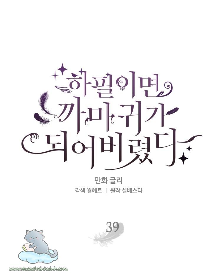 Nàng Quạ Bất Đắc Dĩ: Nàng Quạ Bất Đắc Dĩ – Chap 39