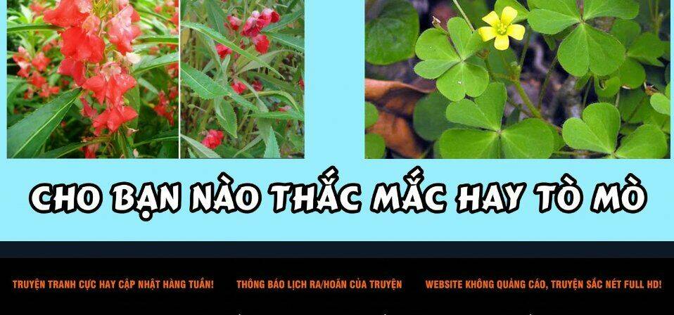 Truyện tranh